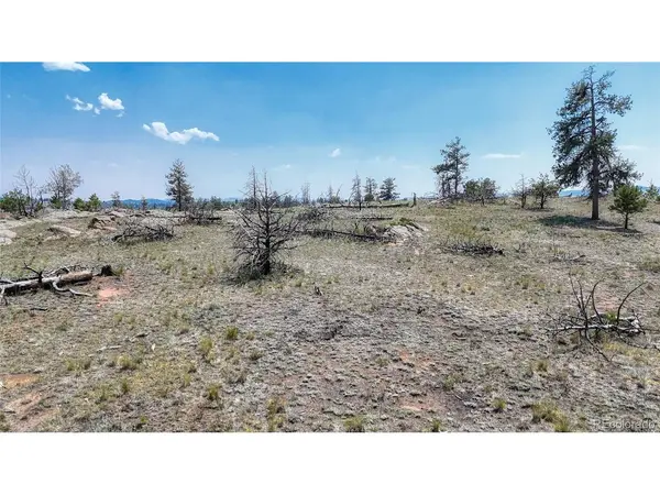 617 Chateau, Florissant, CO 80816