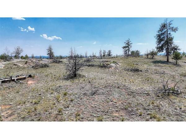 617 Chateau, Florissant, CO 80816