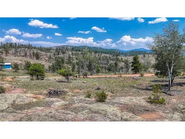 617 Chateau, Florissant, CO 80816