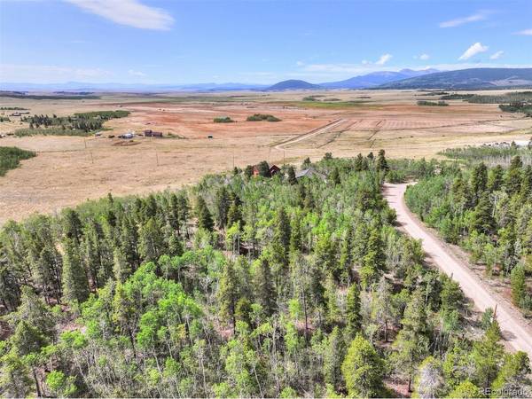 242 Green Bottle, Fairplay, CO 80440
