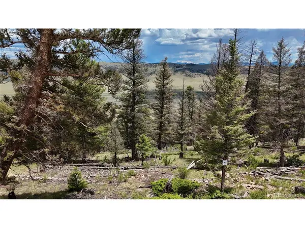 1396 Middle Fork, Fairplay, CO 80440