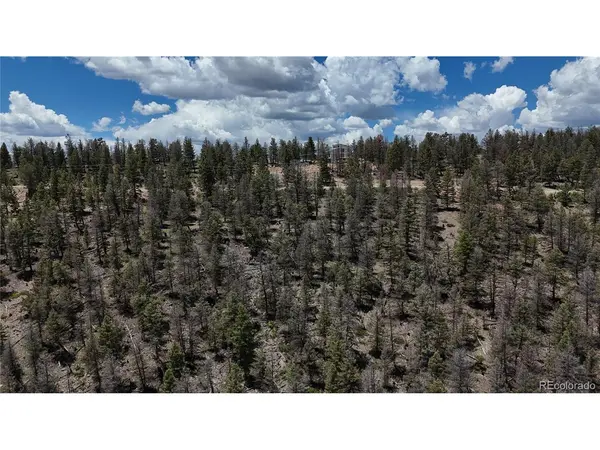 1396 Middle Fork, Fairplay, CO 80440