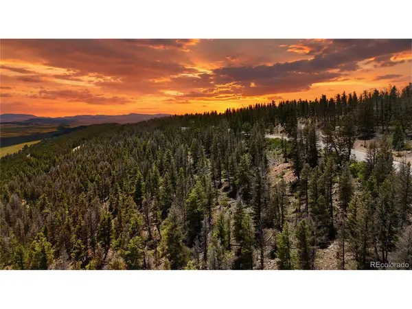1396 Middle Fork, Fairplay, CO 80440