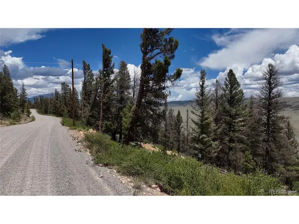 1396 Middle Fork, Fairplay, CO 80440