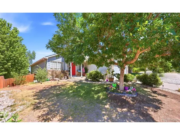 607 Branding Iron, Castle Rock, CO 80104