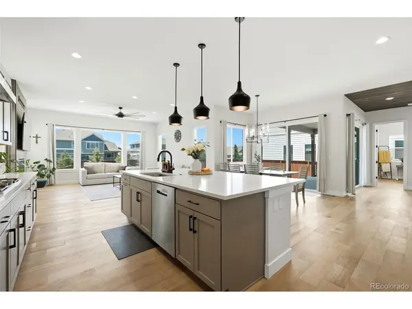 1702 Branching Canopy, Windsor, CO 80550