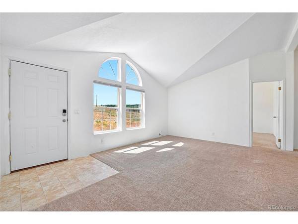 267 Longbow, Divide, CO 80814