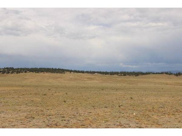 389 Chipita, Hartsel, CO 80449