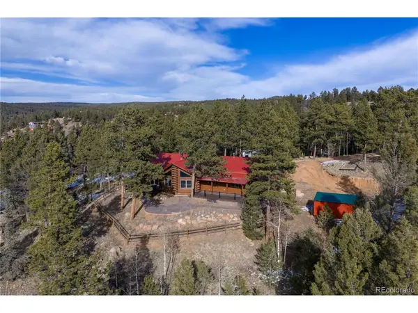 1910 Wildhorn, Florissant, CO 80816