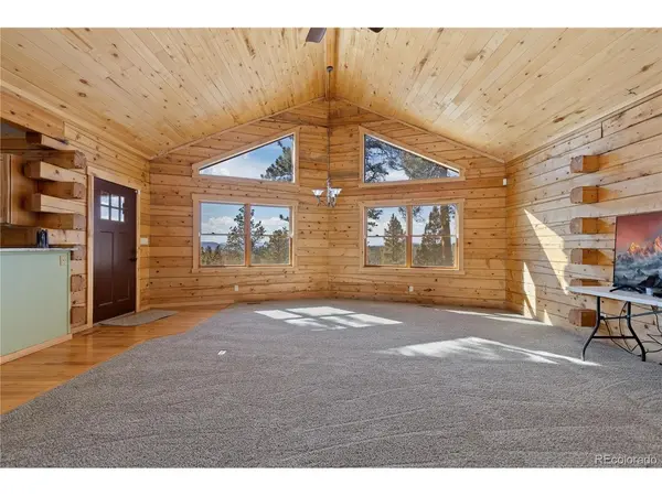 1910 Wildhorn, Florissant, CO 80816