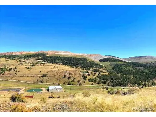 1111 Colorado, Cripple Creek, CO 80813