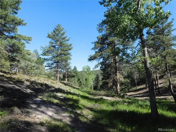 5884 Seminole, Larkspur, CO 80118