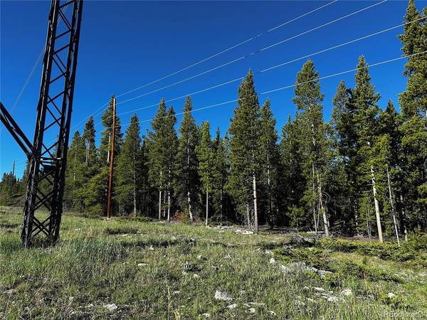 3052 Excelsior,  Leadville,  CO 80461
