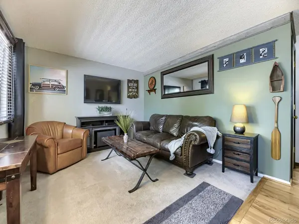 370 Helena, Lone Tree, CO 80124