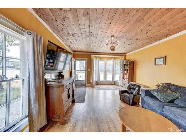520 Chestnut, Leadville, CO 80461