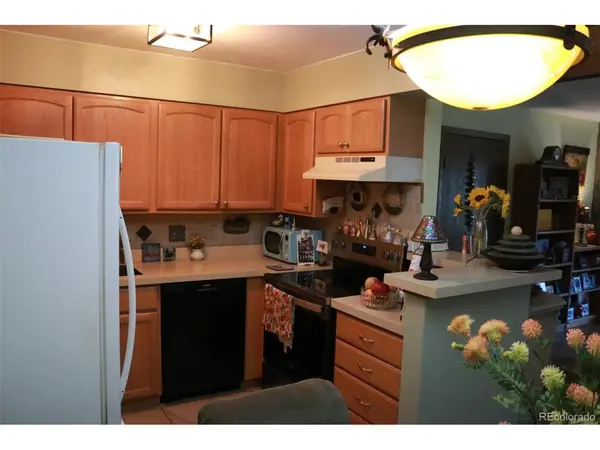 331 Wright #203, Denver, CO 80228