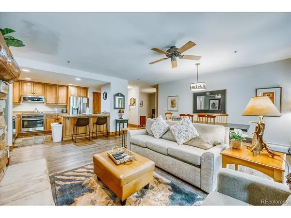 224 Trailhead #3078, Dillon, CO 80435