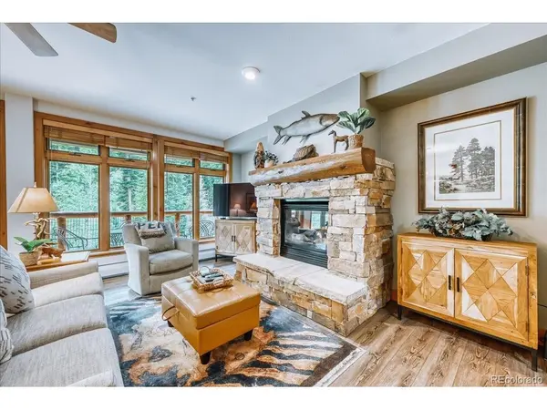 224 Trailhead #3078, Dillon, CO 80435