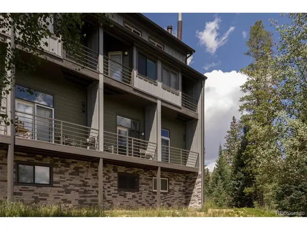 10000 Ryan Gulch #105, Silverthorne, CO 80498
