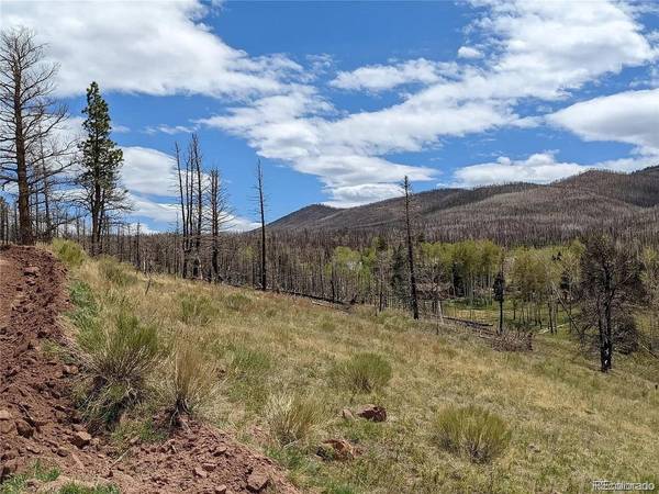 951 Van Fossan Lane, Fort Garland, CO 81133