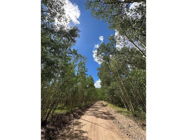 6622 Clinton, Fort Garland, CO 81133