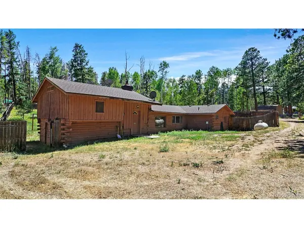 200 Road P37, Bailey, CO 80421