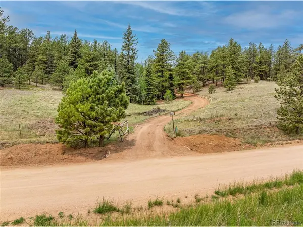 1459 Conestoga Creek, Florissant, CO 80816