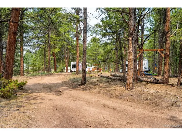 1459 Conestoga Creek, Florissant, CO 80816