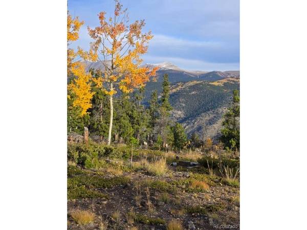 0 Frank C, Idaho Springs, CO 80452