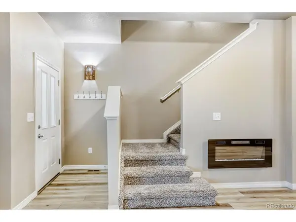 1686 Grand #6, Windsor, CO 80550