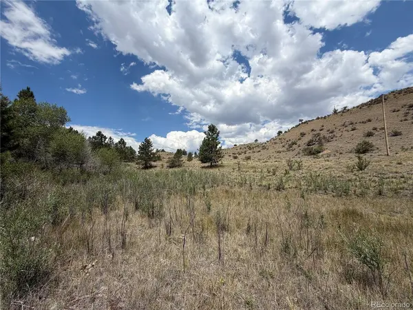 0 Trout, Hartsel, CO 80449