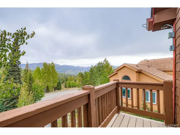 323 Twenty Grand, Silverthorne, CO 80498
