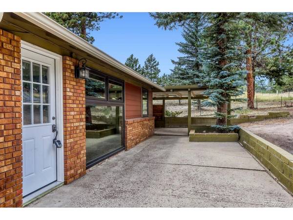 1006 County Road 72, Bailey, CO 80421