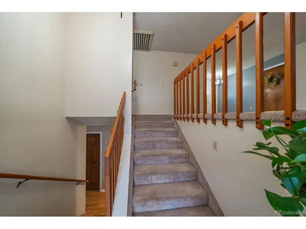 967 Mountain View, Castle Rock, CO 80104