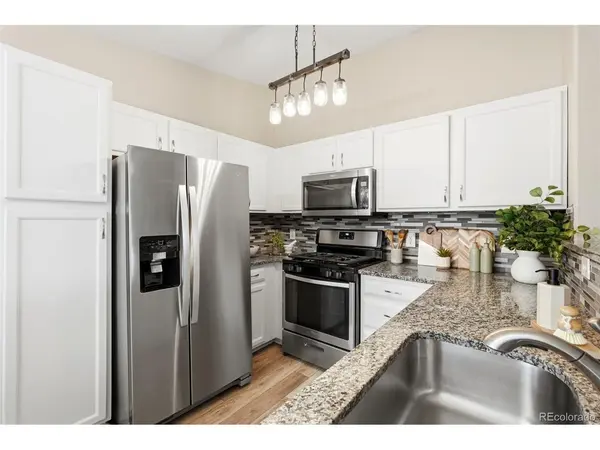 8427 Thunder Ridge #203, Littleton, CO 80126