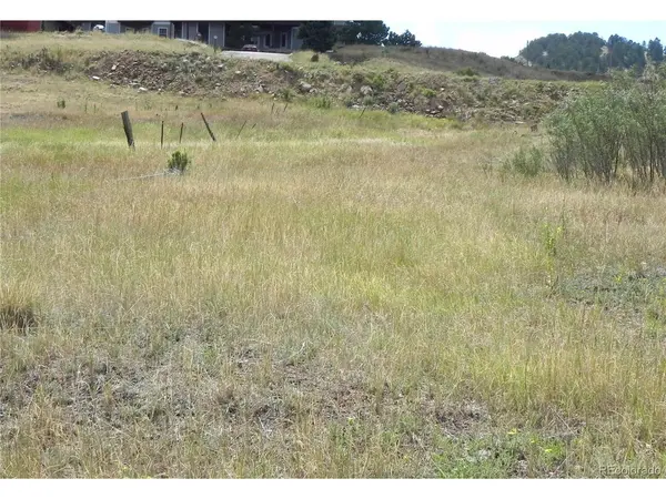 41 S 1st, Cripple Creek, CO 80813