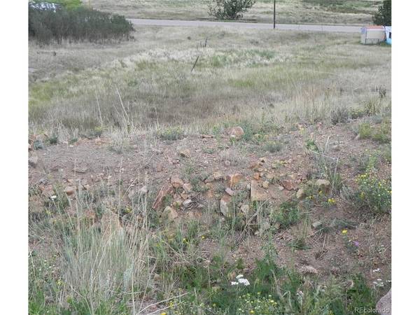 41 S 1st, Cripple Creek, CO 80813
