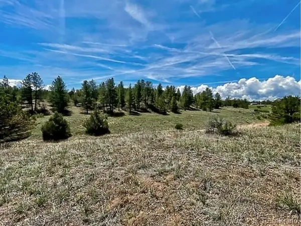 7080 Copper Gulch, Cotopaxi, CO 81223