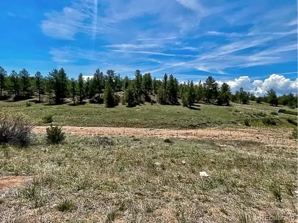 7080 Copper Gulch, Cotopaxi, CO 81223