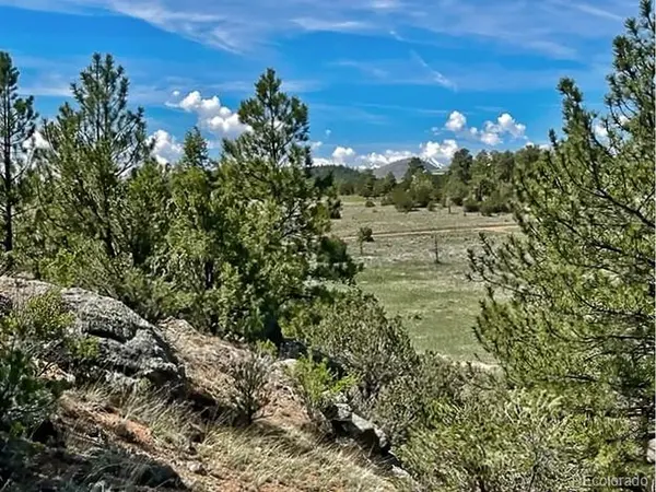 7080 Copper Gulch, Cotopaxi, CO 81223