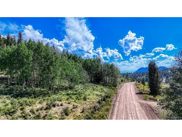 1444 Anges, Cripple Creek, CO 80813