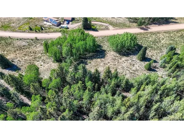 1444 Anges, Cripple Creek, CO 80813