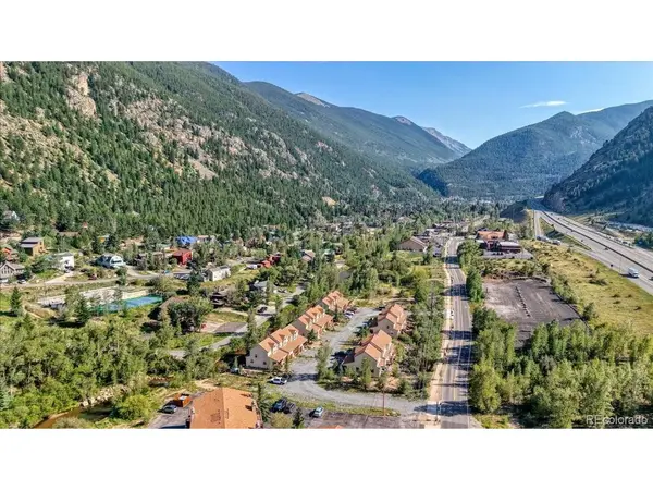 1787 Mountain Creek #14, Georgetown, CO 80444