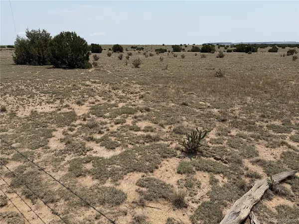 167 Tyrone Hills Ranch, Walsenburg, CO 81089