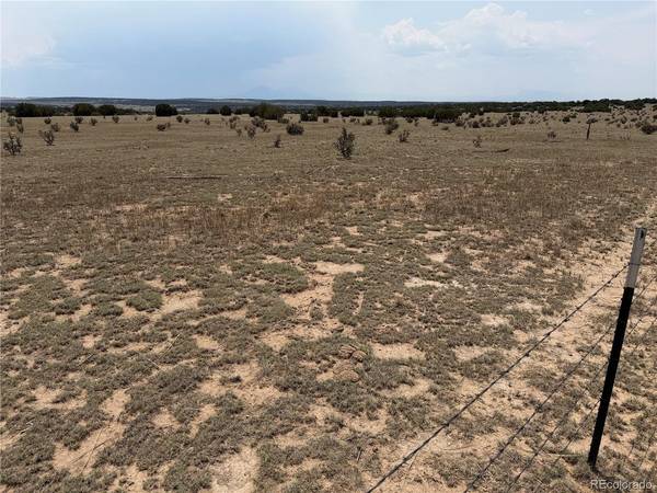 167 Tyrone Hills Ranch, Walsenburg, CO 81089