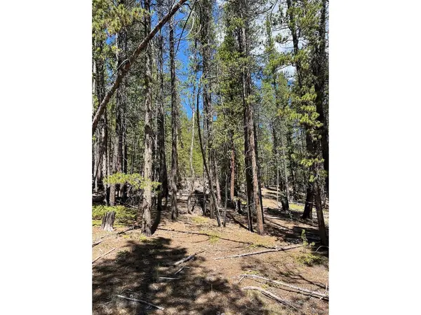 163 CO RD 665, Fairplay, CO 80440