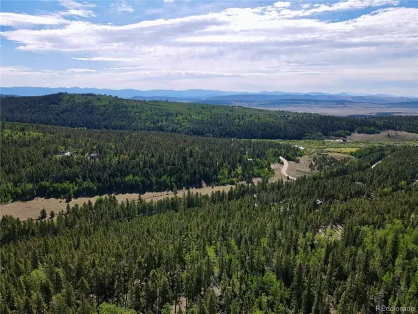 163 CO RD 665, Fairplay, CO 80440