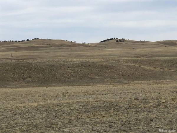 0 Black Beaver, Hartsel, CO 80449
