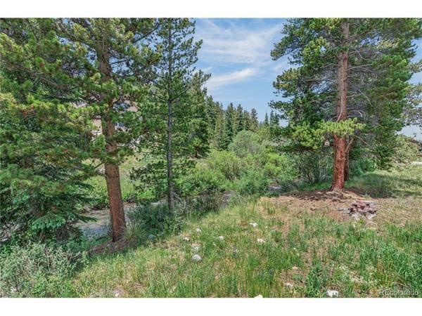 214 Mountain View, Breckenridge, CO 80424