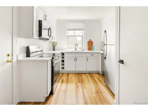 960 N Sherman #2E, Denver, CO 80203